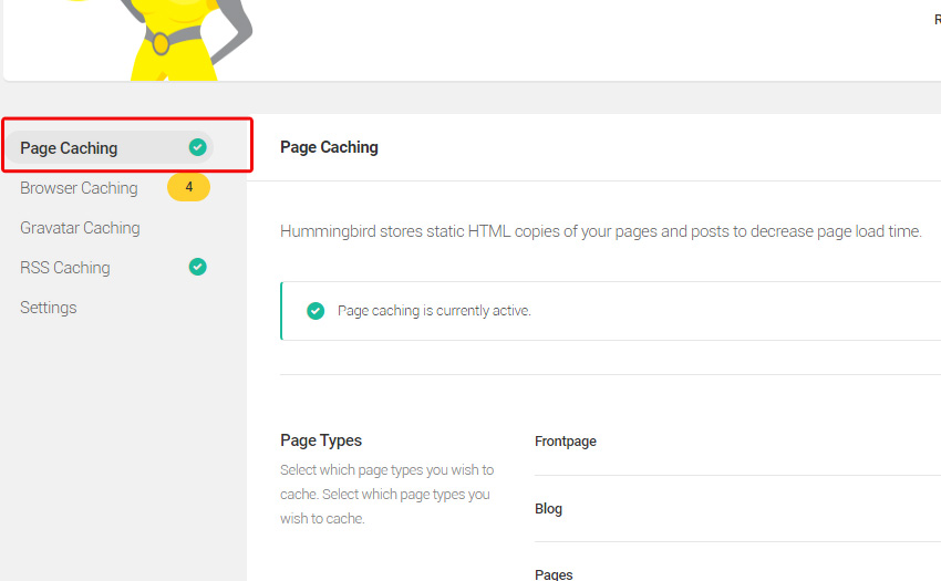 Select the "Page Caching" tab