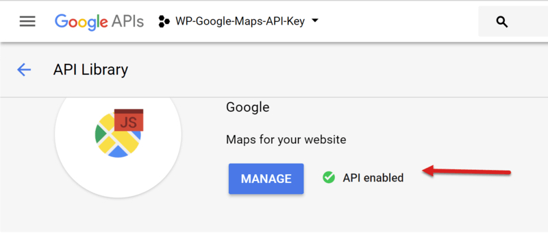Google Maps Javascript API enabled