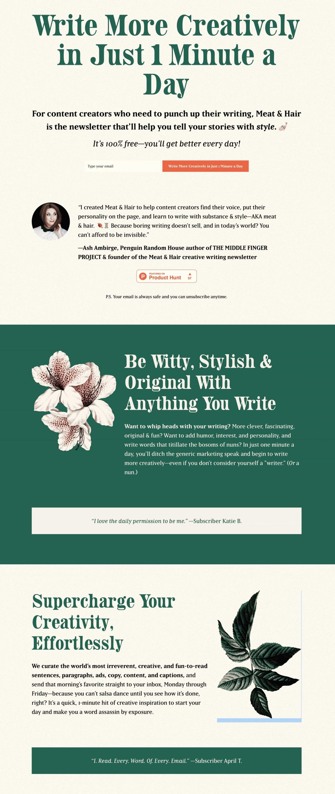 Meat & Hair Creative Writing - Newsletter Subscription landing page example #2