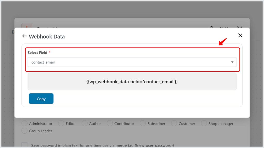 Select your webhook data fields and click on Copy to clipboard