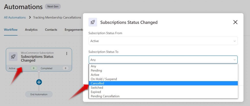 setting statuses - subscriptions-related woocommerce-google sheets integration