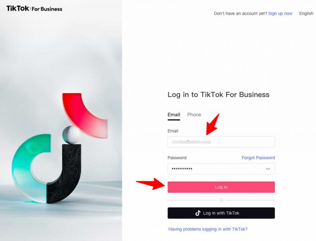 Log in to your TikTok Ads Manager account by entering the credentials