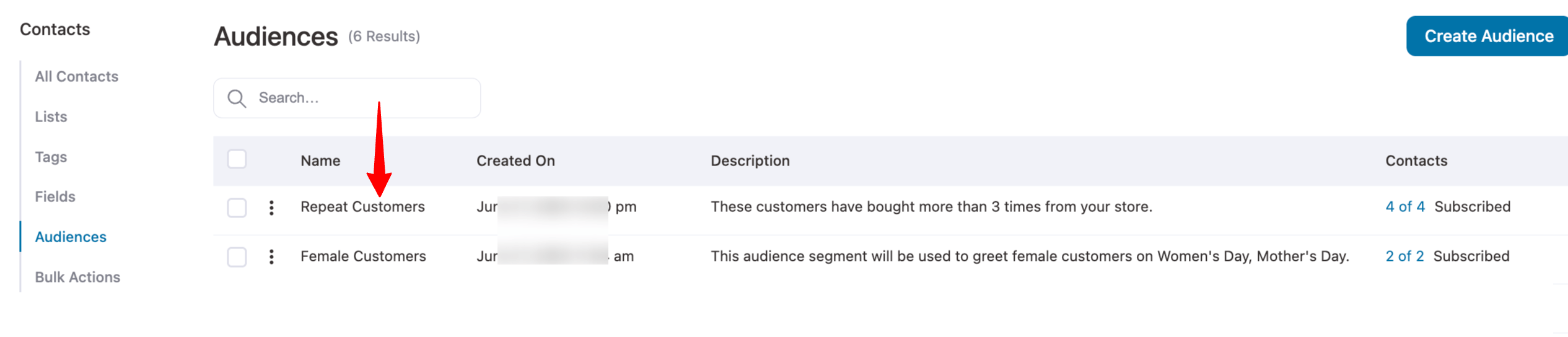 WooCommerce customer segmentation - repeat customers