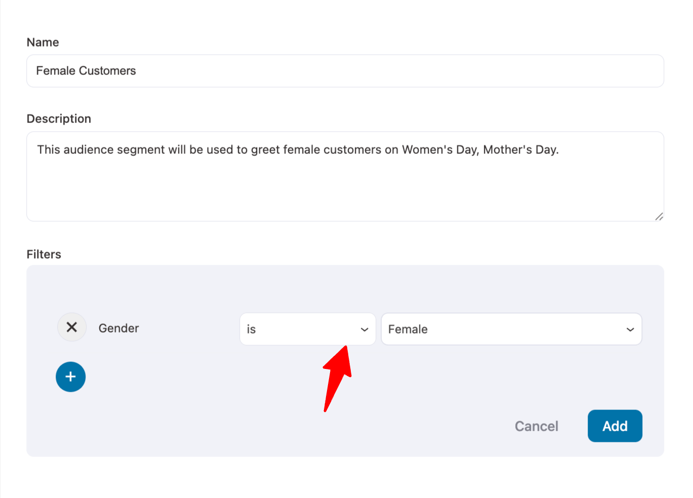 creating the female audience segment