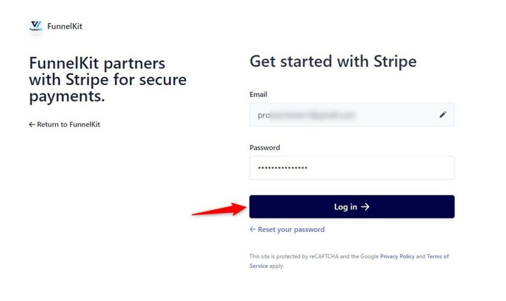 Enter your Stripe account's password and log in