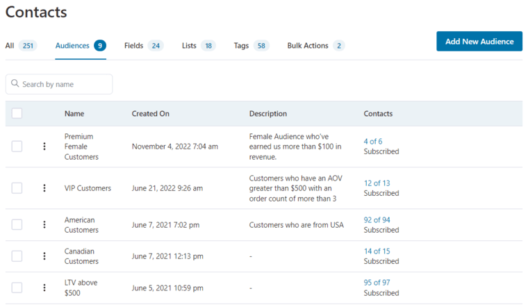 Audiences in FunnelKit Automations, WordPress CRM