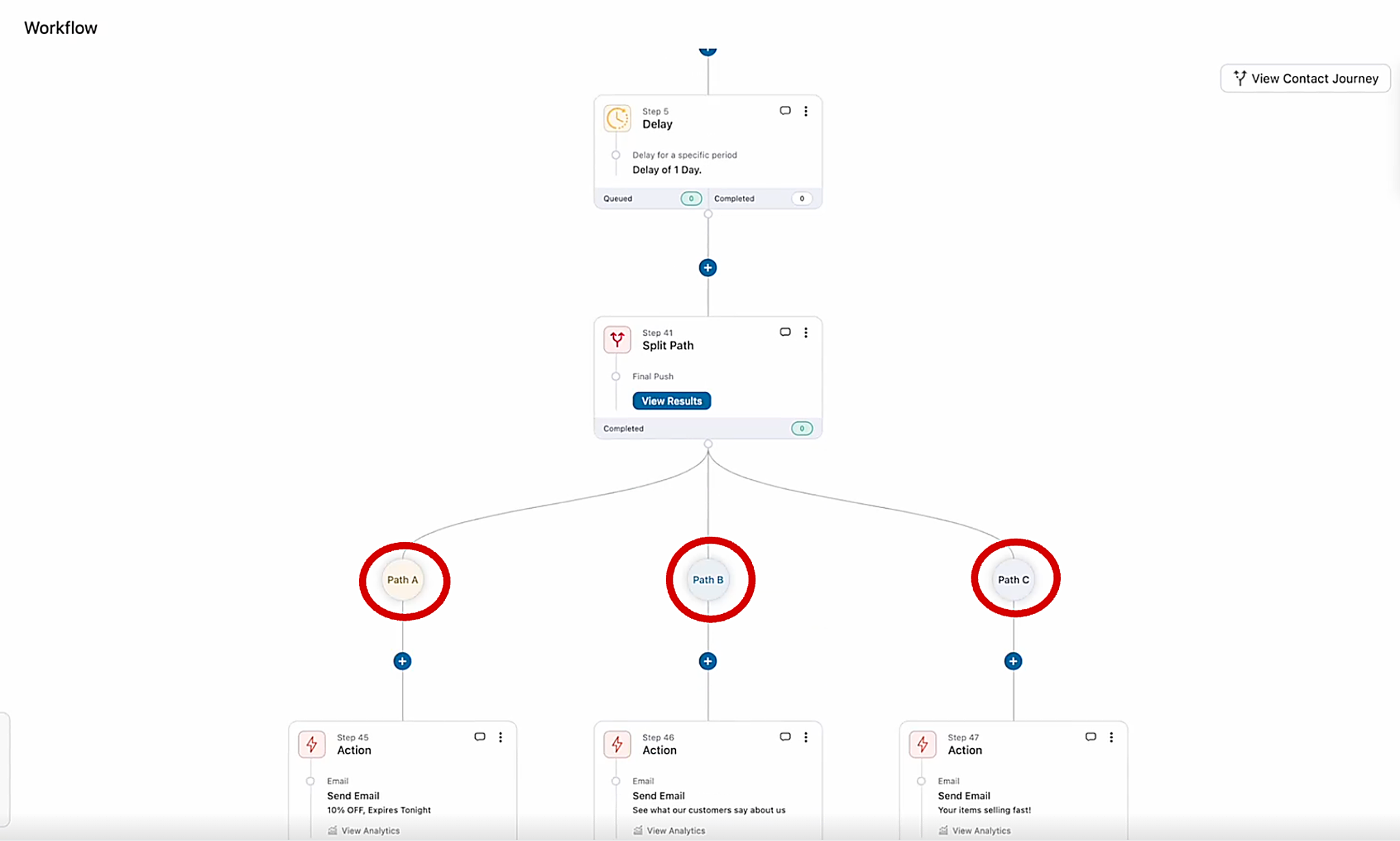 Split Path automation with three branches sending a discount, a testimonial, and a best-seller email