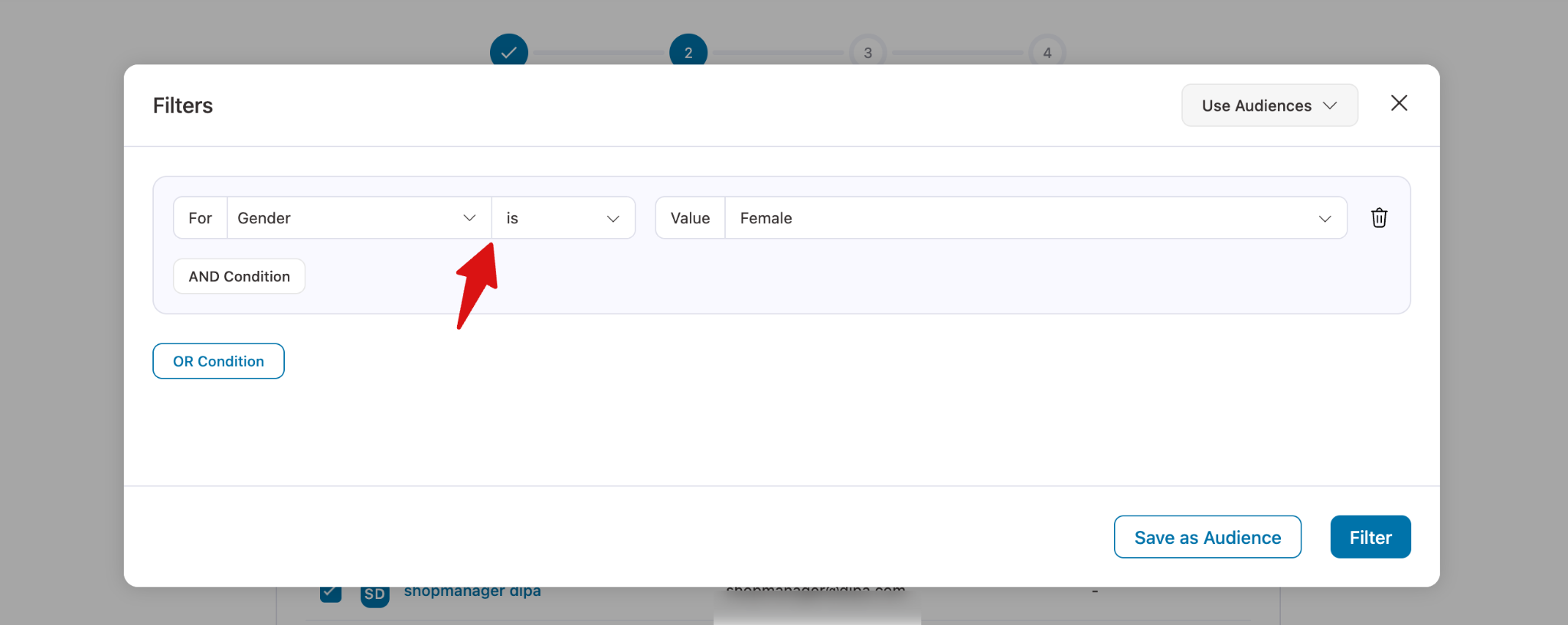 Filter applied showing female customers segment selection