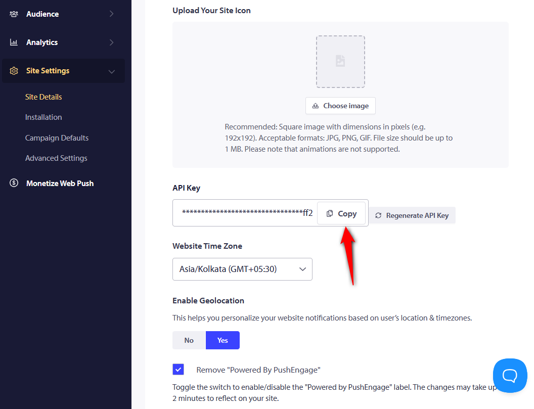 Copy the pushengage api key