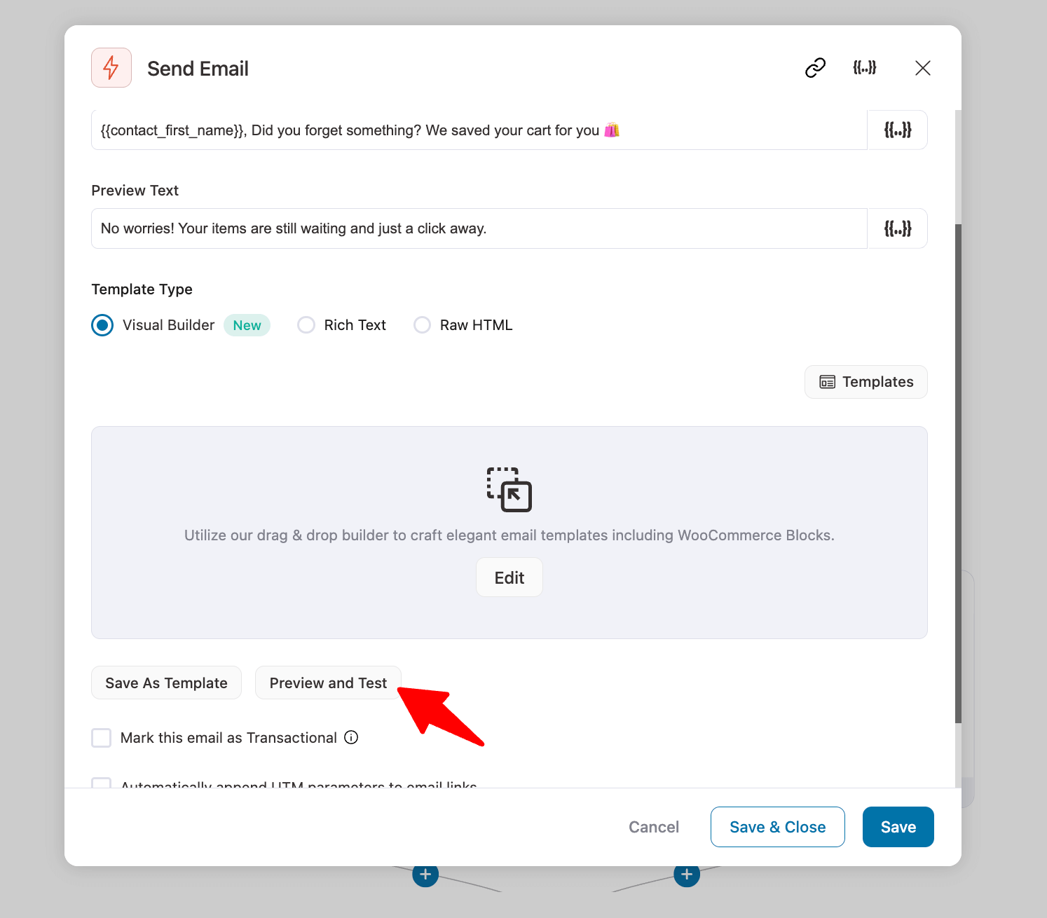 hit preview and test to test WooCommerce marketing emails