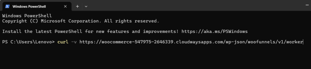 Run the curl worker URL command 
