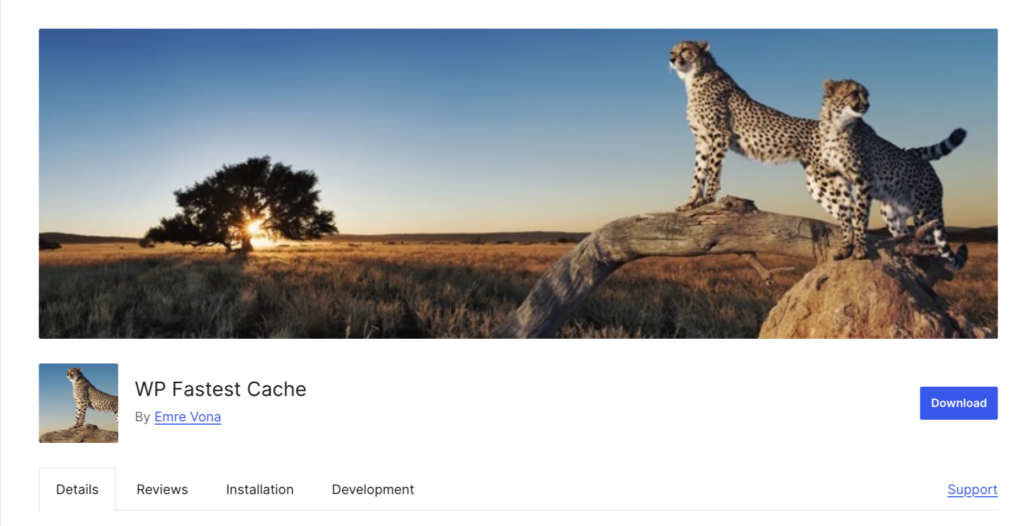 WP Fastest Cache
