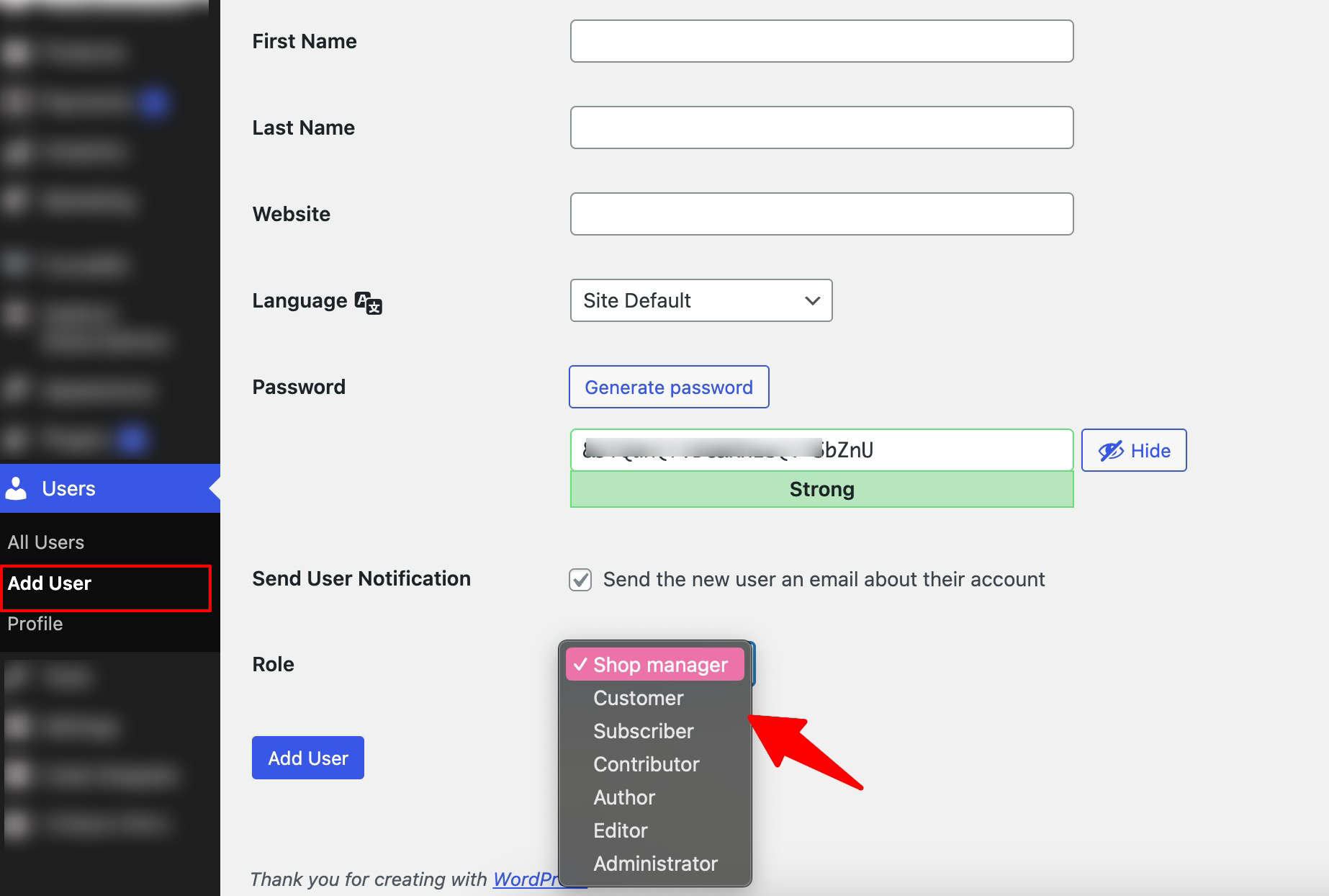 WordPress users type