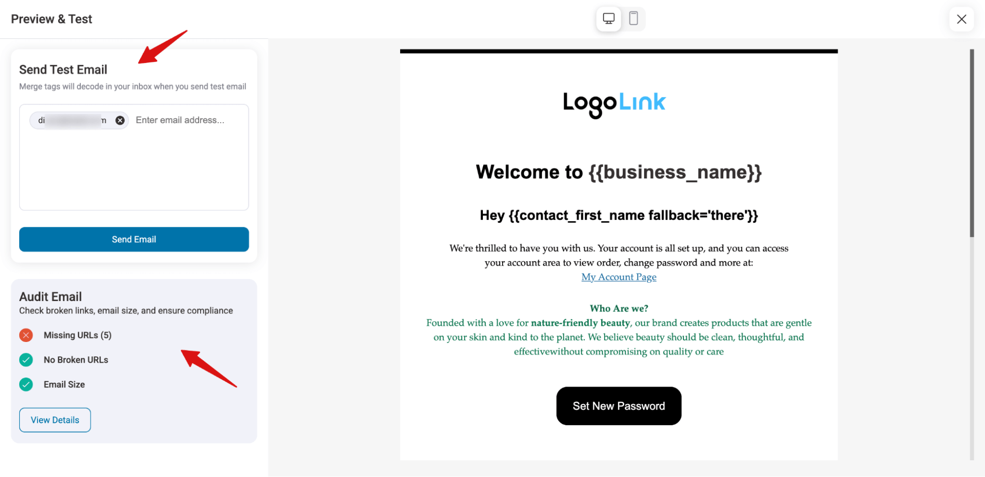 audit and test email