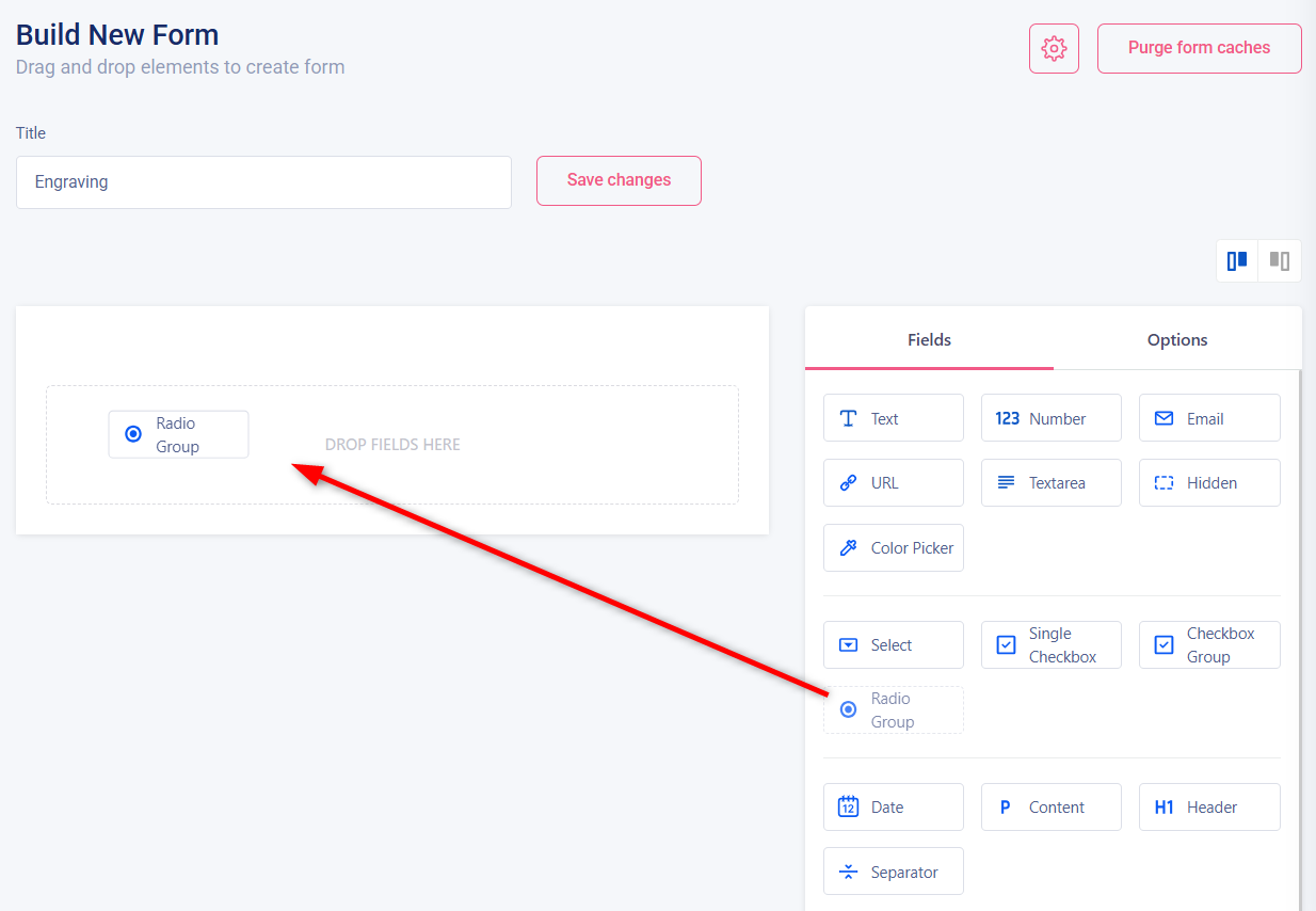 Drag and drop the radio group field into the form