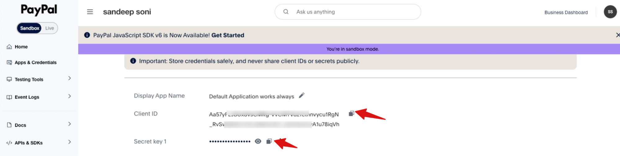 From here, you can copy the Client ID and Secret Key.