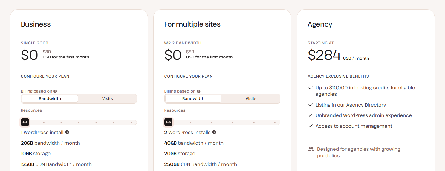 Kinsta hosting pricing plans
