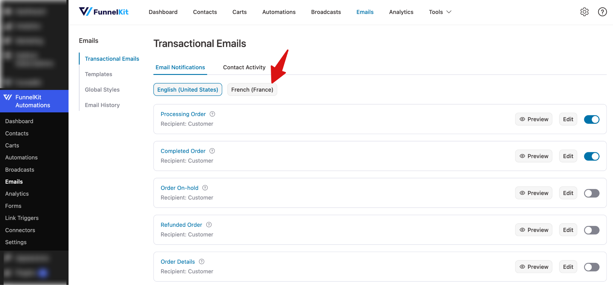 Transactional email templates showing multiple language columns