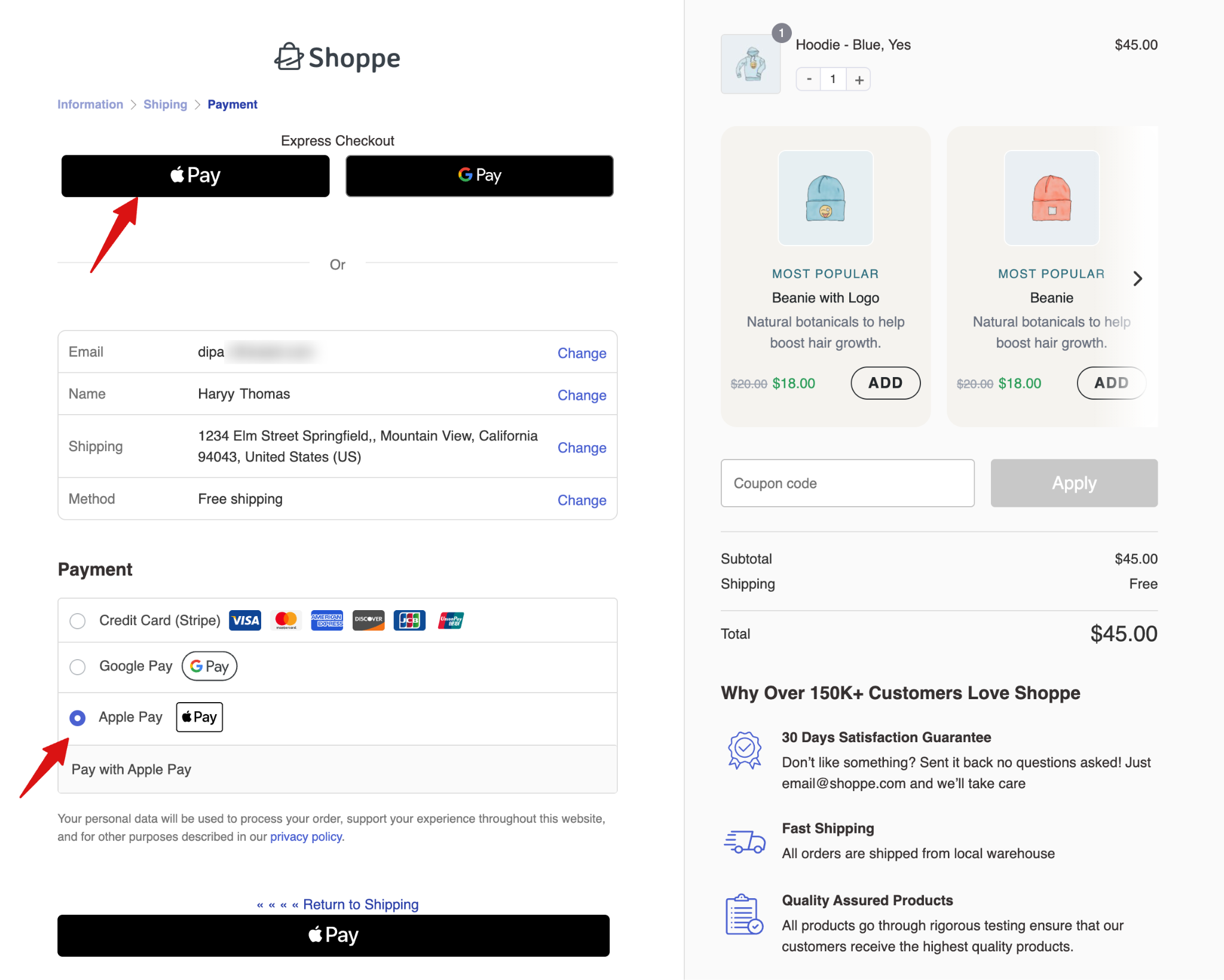 Apple Pay express checkout and inline payment options