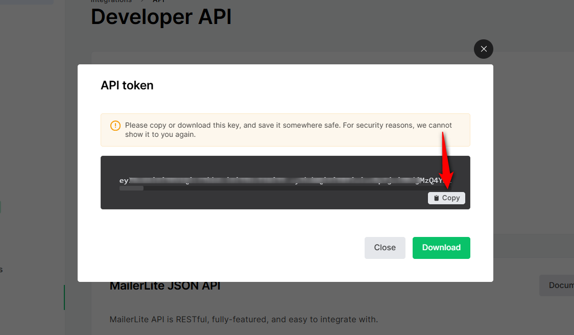Give your Developer API a name that you'll recognize later (for example, your store name), and click 'Create token'. Your token will be generated.