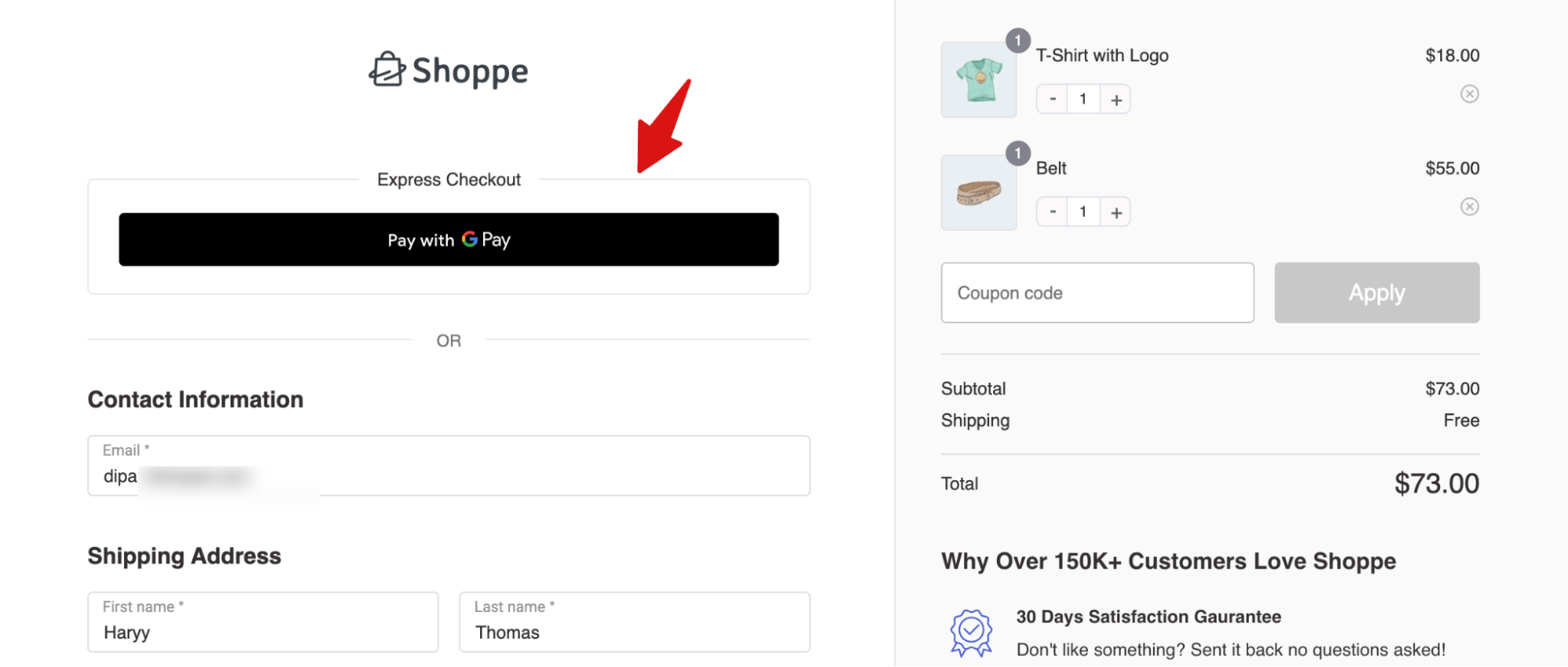 express payment options at checkout